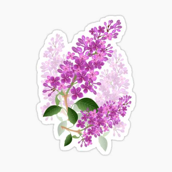 Lilac Sticker