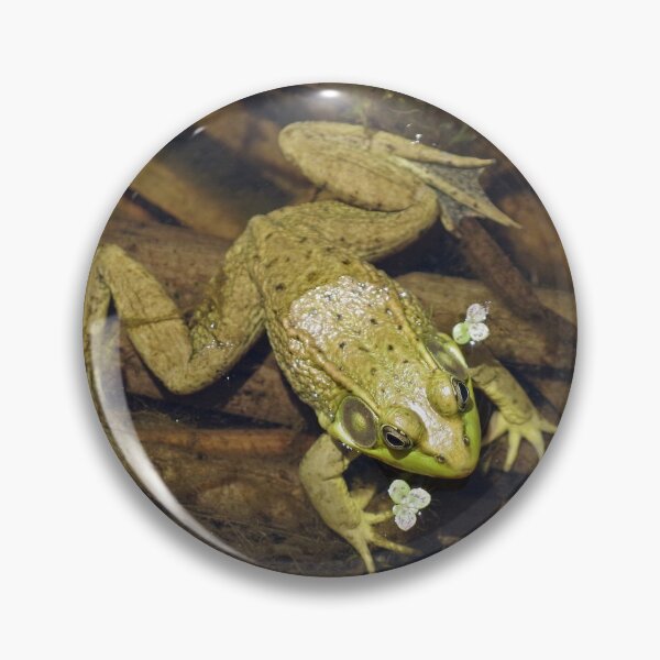 Item preview, Frog in pond with reeds #1 designed and sold by silverwheelarts.