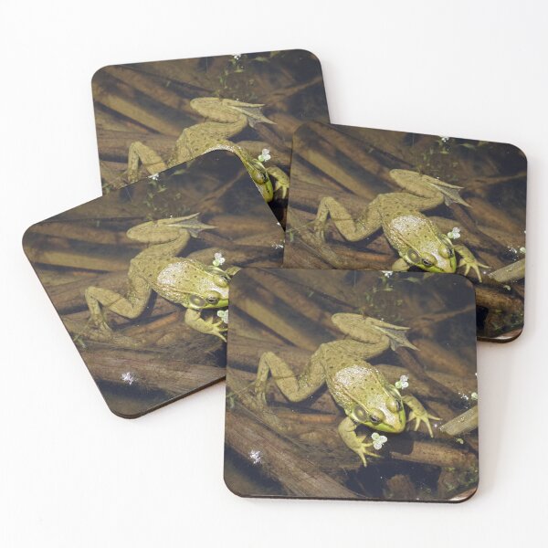 Item preview, Frog in pond with reeds #1 designed and sold by silverwheelarts.