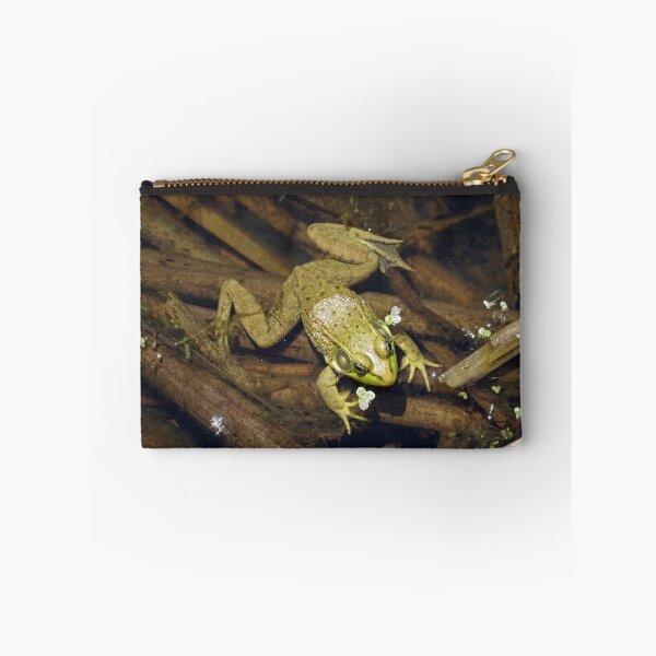 Item preview, Frog in pond with reeds #1 designed and sold by silverwheelarts.