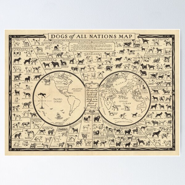 Item preview, 1936 Vintage Map - Dogs of All Nations designed and sold by Gin  Neko.