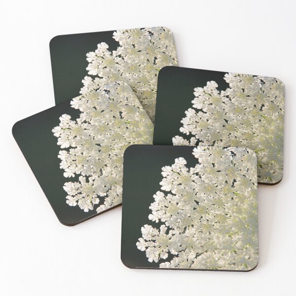 Item preview, Queen Anne's Lace #2 designed and sold by silverwheelarts.