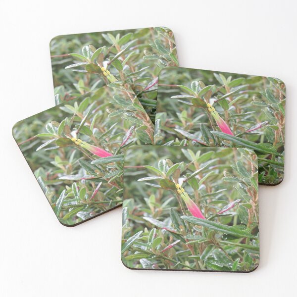 Item preview, Spreading correa designed and sold by greentiger1.
