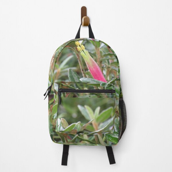 Item preview, Spreading correa designed and sold by greentiger1.