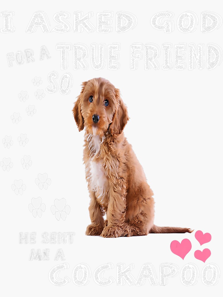 "Cute Cockapoo Gifts For Women Men Cockapoo Mom, Cockapoo Dog " Sticker ...