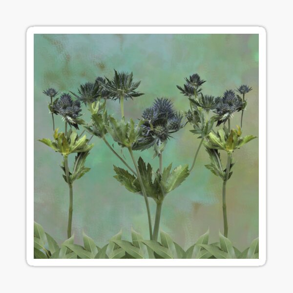Blue Thistle Flowers Sticker