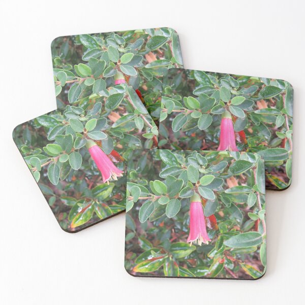 Item preview, Pink correa designed and sold by greentiger1.
