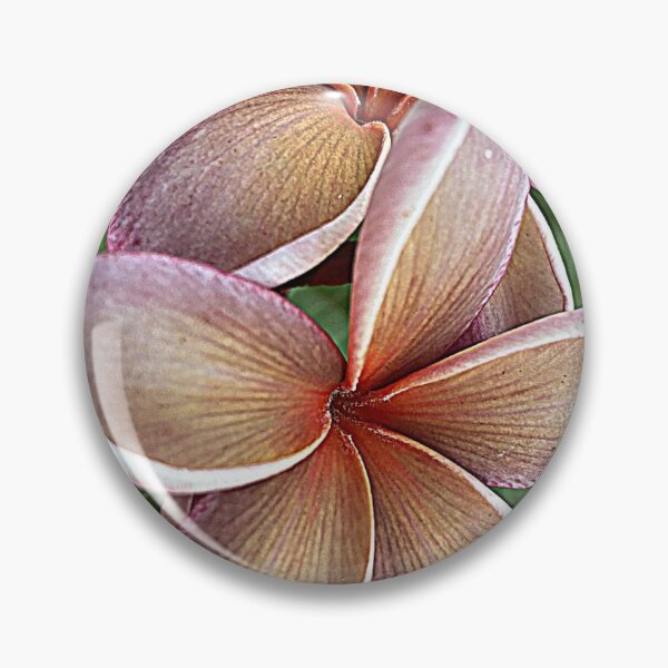 Item preview, FRANGIPANI FLORAL ART, GEORGE BROWN CULTIVAR  designed and sold by Opalbluerose.