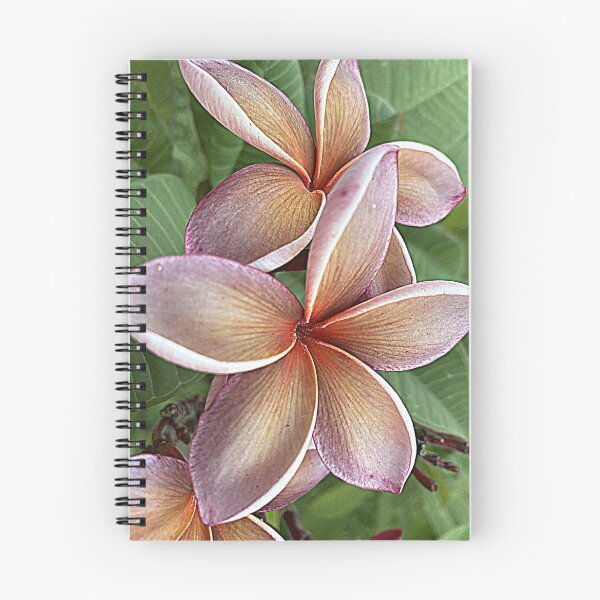 Item preview, FRANGIPANI FLORAL ART, GEORGE BROWN CULTIVAR  designed and sold by Opalbluerose.