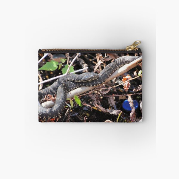 Item preview, Banded Watersnake designed and sold by Jeff Ore.