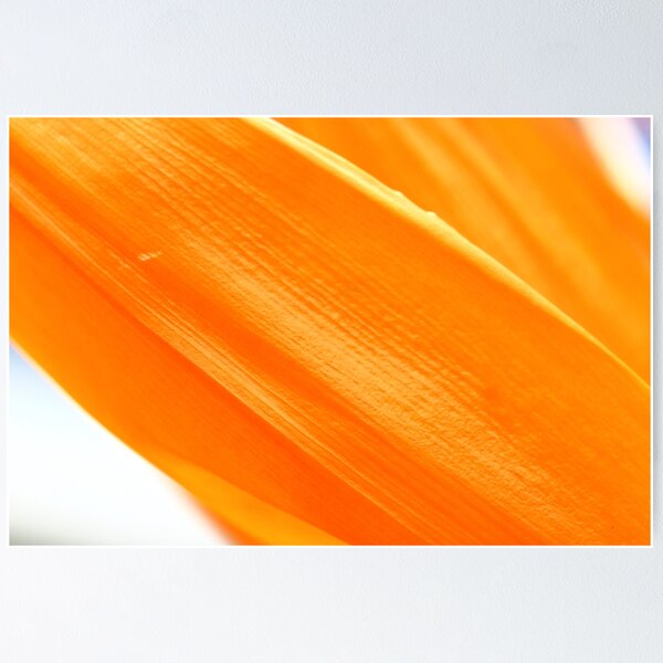 Item preview, A little more tropical designed and sold by Robyn Williams.