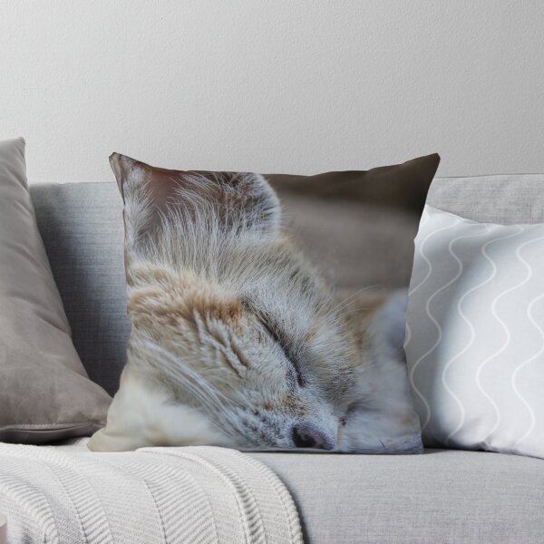 Artikelvorschau, Schlafende Sanddüne Katze entworfen und verkauft von FactorFourPhoto.