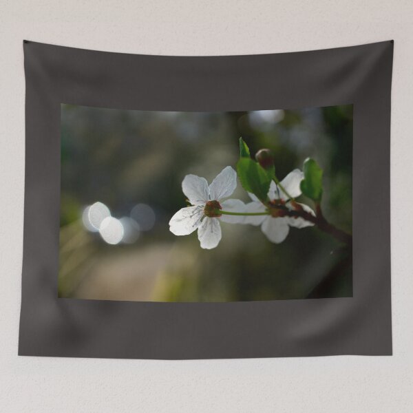 Item preview, Facing The Light designed and sold by Alisonchambers2.