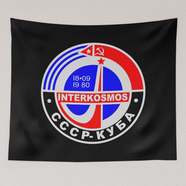 Item preview, interkosmos - Soviet Space program designed and sold by Craftaholic.