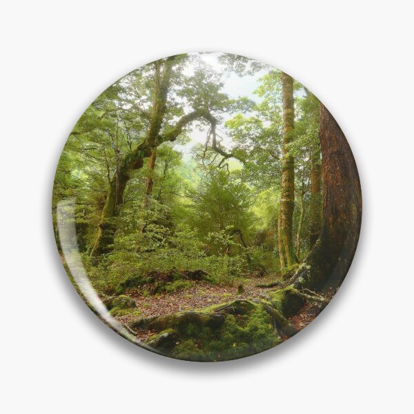 Item preview, Red Beech forest, New Zealand designed and sold by Kevin McGennan.