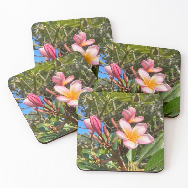 Item preview, Frangipani Flowers designed and sold by Sinemathk.