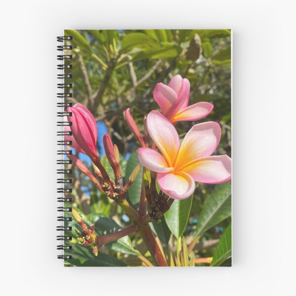 Item preview, Frangipani Flowers designed and sold by Sinemathk.