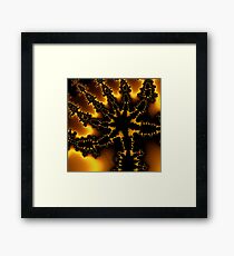 Black Sun Framed Print
