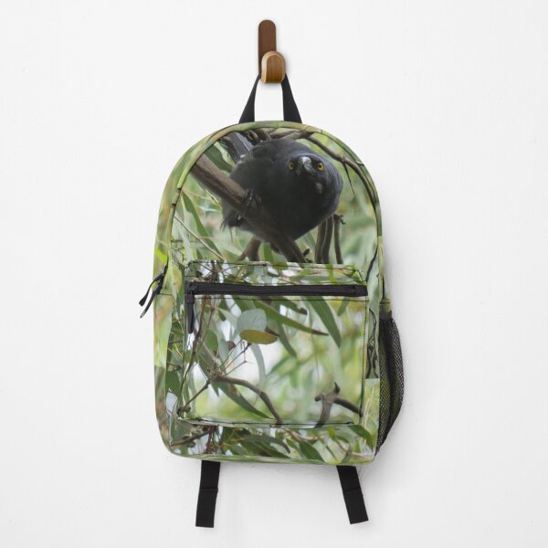 Item preview, Pied currawong in the gumtree designed and sold by greentiger1.