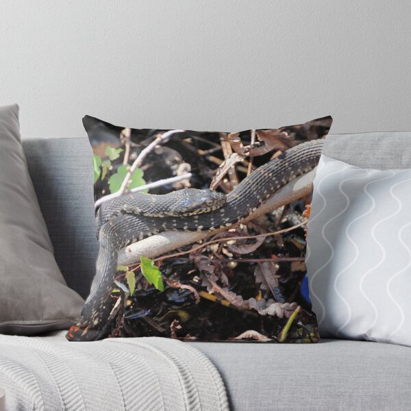 Item preview, Banded Watersnake designed and sold by Jeff Ore.