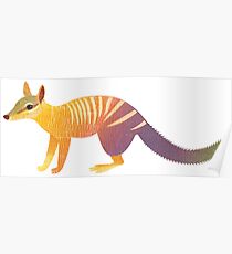 N is for Numbat Poster