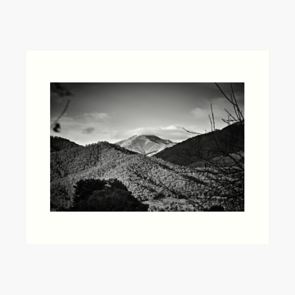 Item preview, Feathertop designed and sold by Mark Lucey.