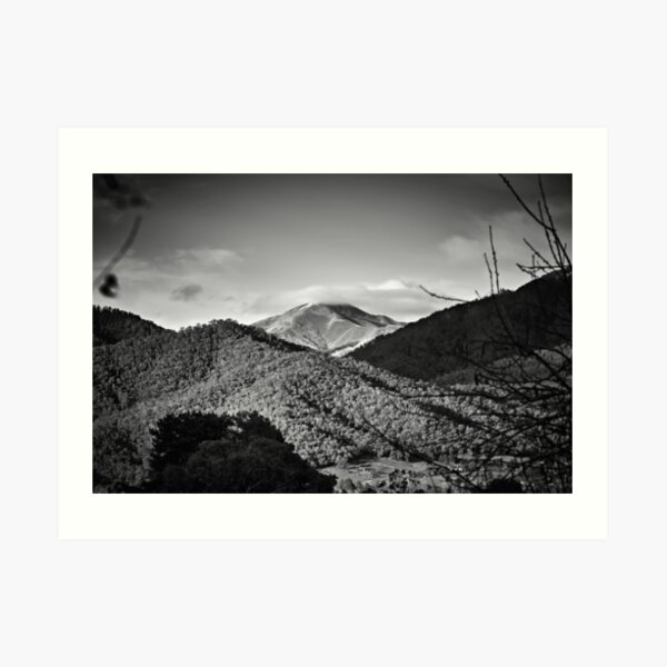 Feathertop Art Print