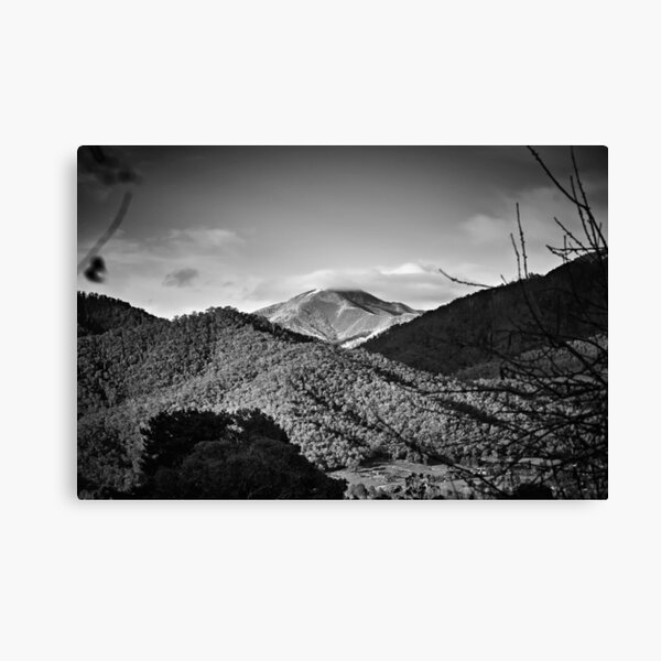 Item preview, Feathertop designed and sold by Mark Lucey.