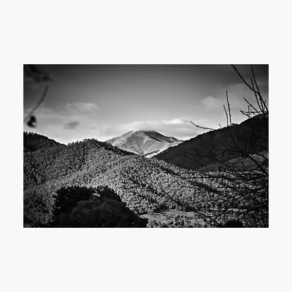 Item preview, Feathertop designed and sold by Mark Lucey.