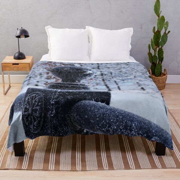 Item preview, Frost on an iron fence - architecture designed and sold by Designbyfia.