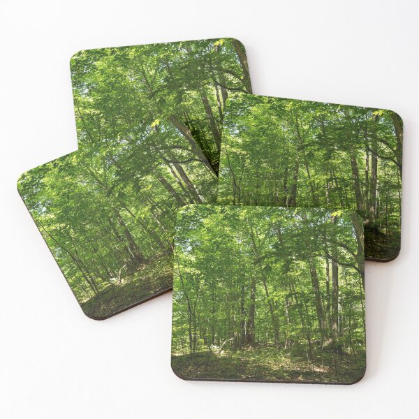 Item preview, Forest Bathing - Summer Walk Through a Small Sun Dappled Glade designed and sold by Georgia Mizuleva.