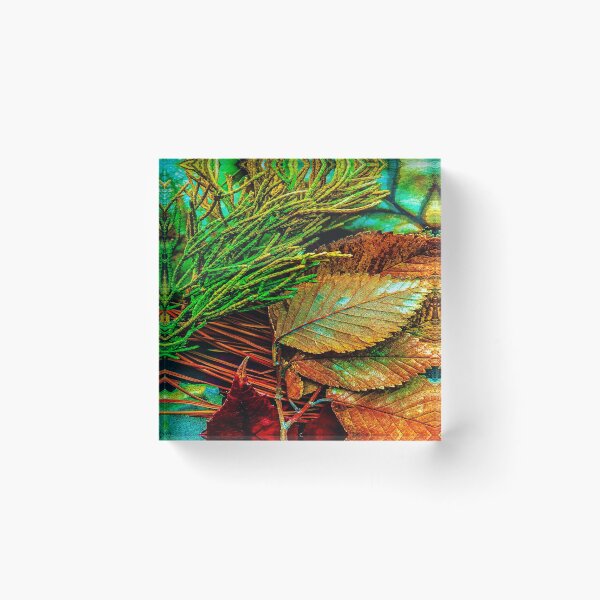 Item preview, Multi Colour Leaf Tree Pattern Melbourne Australia Art designed and sold by MelbourneGarden.
