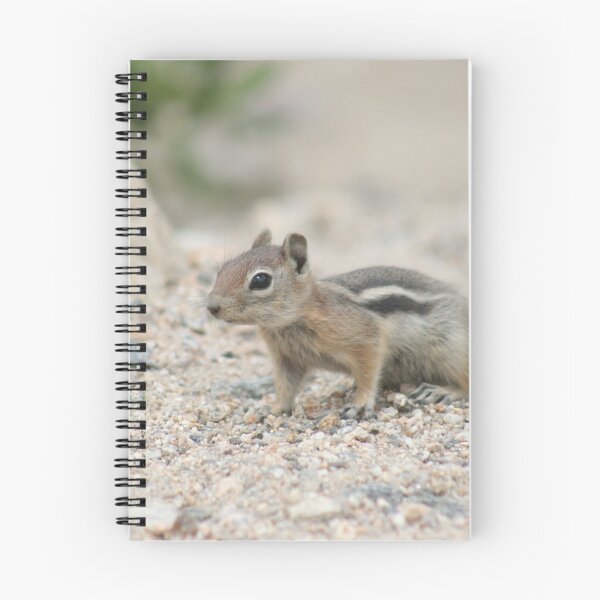 Item preview, Rocky Mountain Chipmunk designed and sold by mokacat.
