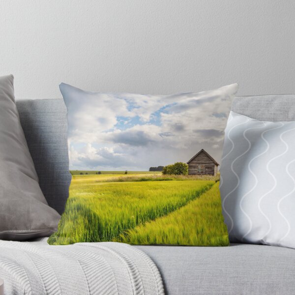 Item preview, Abandoned shack on Salisbury plain, Wiltshire designed and sold by Victoria Ashman.