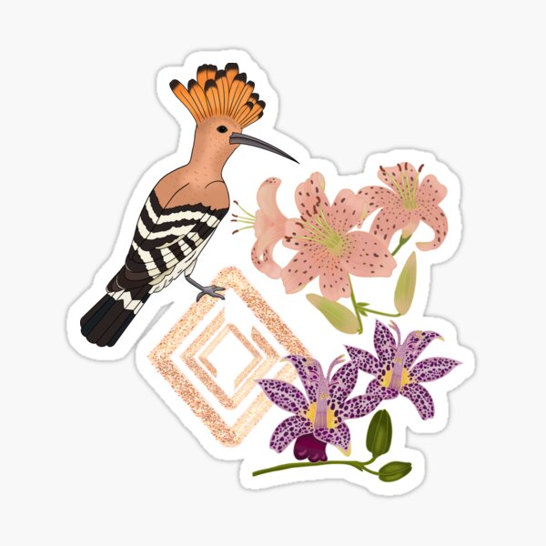 Art deco style design with birds and flowers, featuring the Eurasian Hoopoe bird, tiger lily, raspberry mousse toad lily, canna pink sunburst, green Sticker