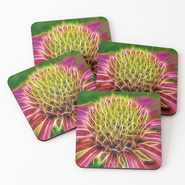 Item preview, hedgehog coneflower – echinacea purpurea ¦ designed and sold by nature. electrified..