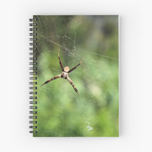 Item preview, Small Orb Weaver Spider on a Web designed and sold by rhamm.