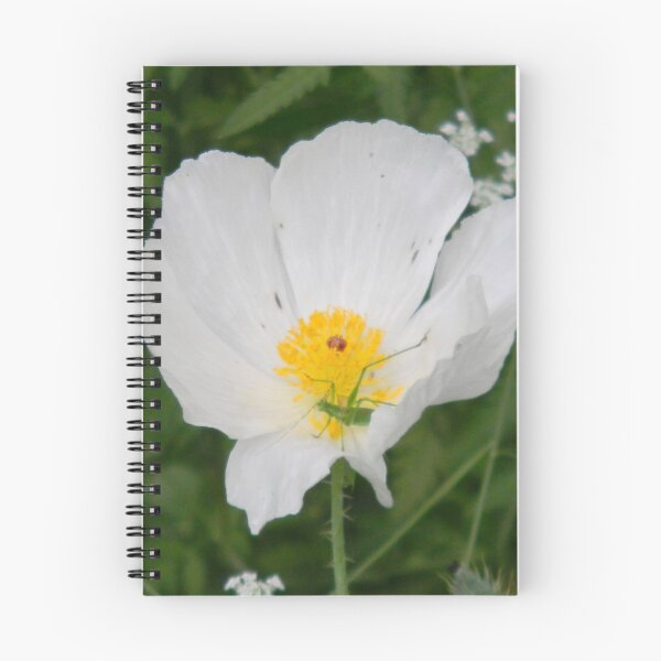 Item preview, Drenched Prickly Poppy and Guest designed and sold by Navigator.