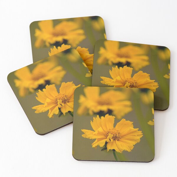 Item preview, Coreopsis designed and sold by Michael Cummings.