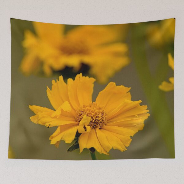 Item preview, Coreopsis designed and sold by Michael Cummings.
