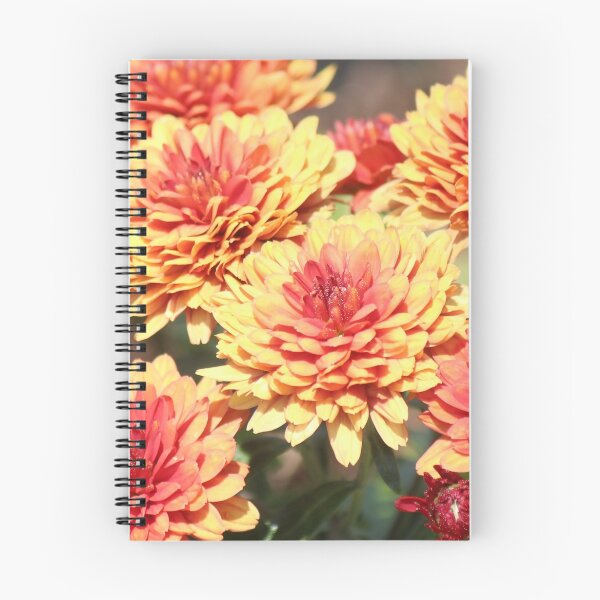 Item preview, Mums the Word designed and sold by Bob Hardy.