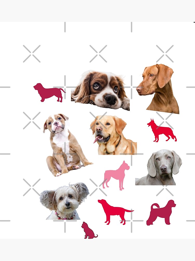 Grußkarte for Sale mit Hund Aufkleber Pack, lustige Hunde