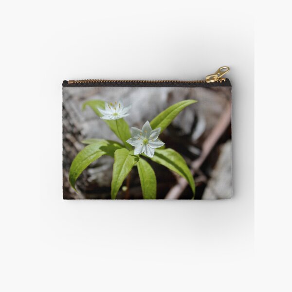 Item preview, Northern Starflower designed and sold by Kathleen Daley.