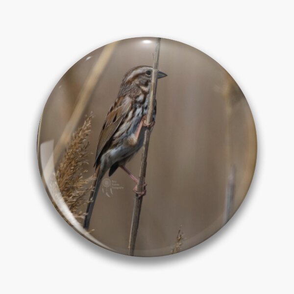 Artikelvorschau, Vogelkraut auf der Suche nach draußen entworfen und verkauft von RoryTrudeau.