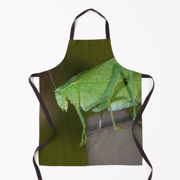 Item preview, Leaf bug  designed and sold by RoryTrudeau.