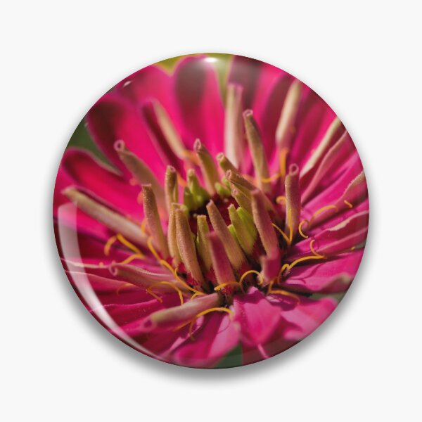Artikelvorschau, Sonnenschein Blume Rosa entworfen und verkauft von RoryTrudeau.