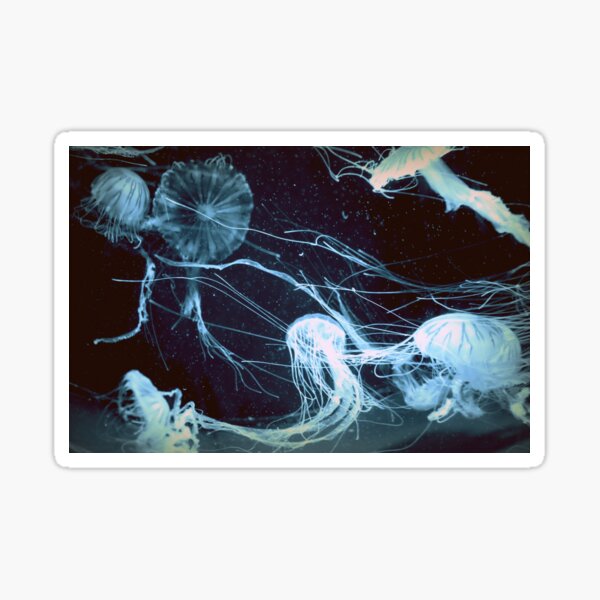 underwater dance Sticker