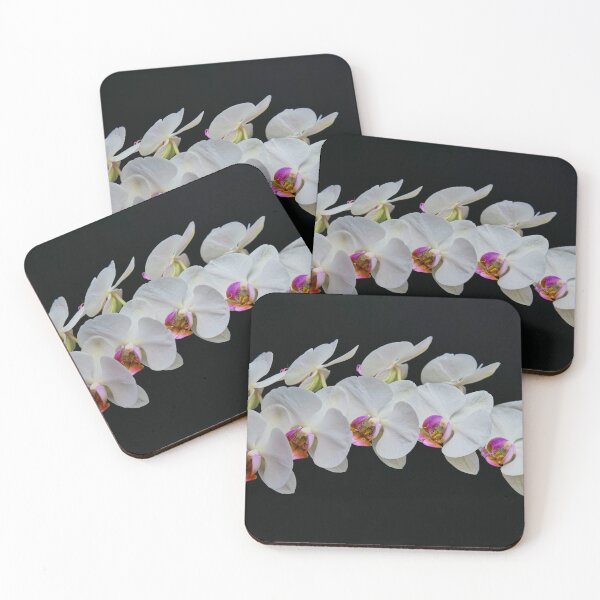 Item preview, White Orchids designed and sold by Ventoux1.