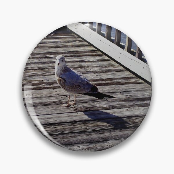 Artikelvorschau, Vogel auf der Promenade entworfen und verkauft von MeadowView.