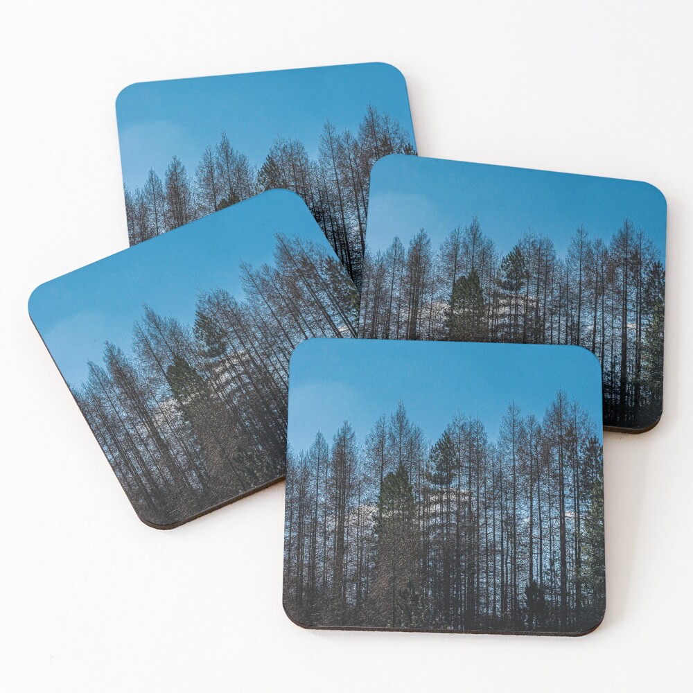 Item preview, Coasters (Set of 4) designed and sold by silversnapper1.